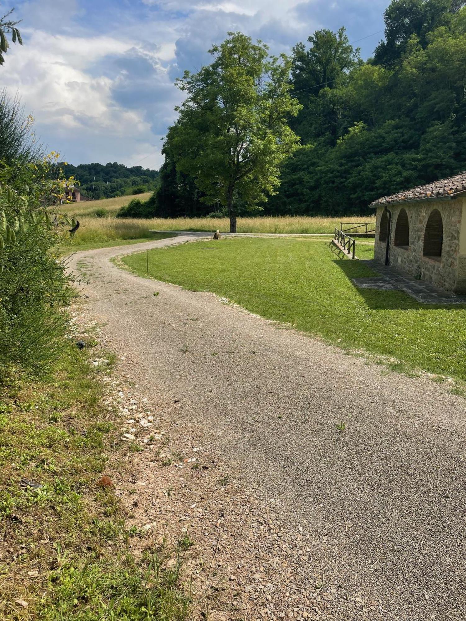 Gioconda casa vacanze Villa Montevarchi Exteriör bild